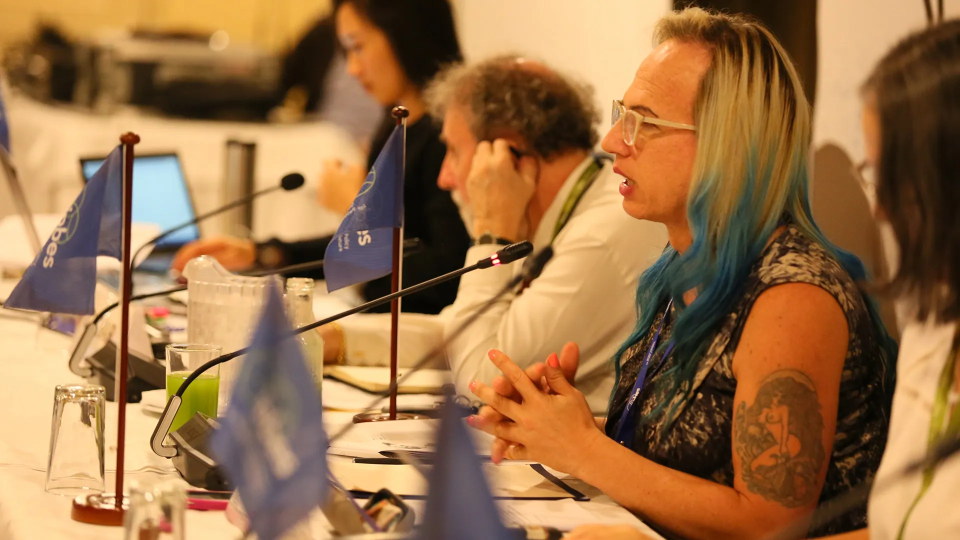 Primera Sesión Plenaria de la IPBES e inicio del trabajo con la plataforma 4